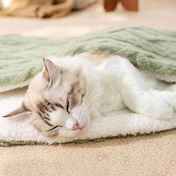 Solid Color Pet Blanket