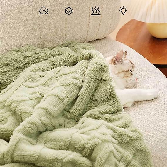 Solid Color Pet Blanket